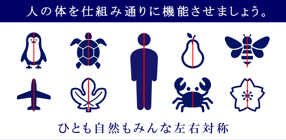 人の体を仕組み通りに機能させましょう。